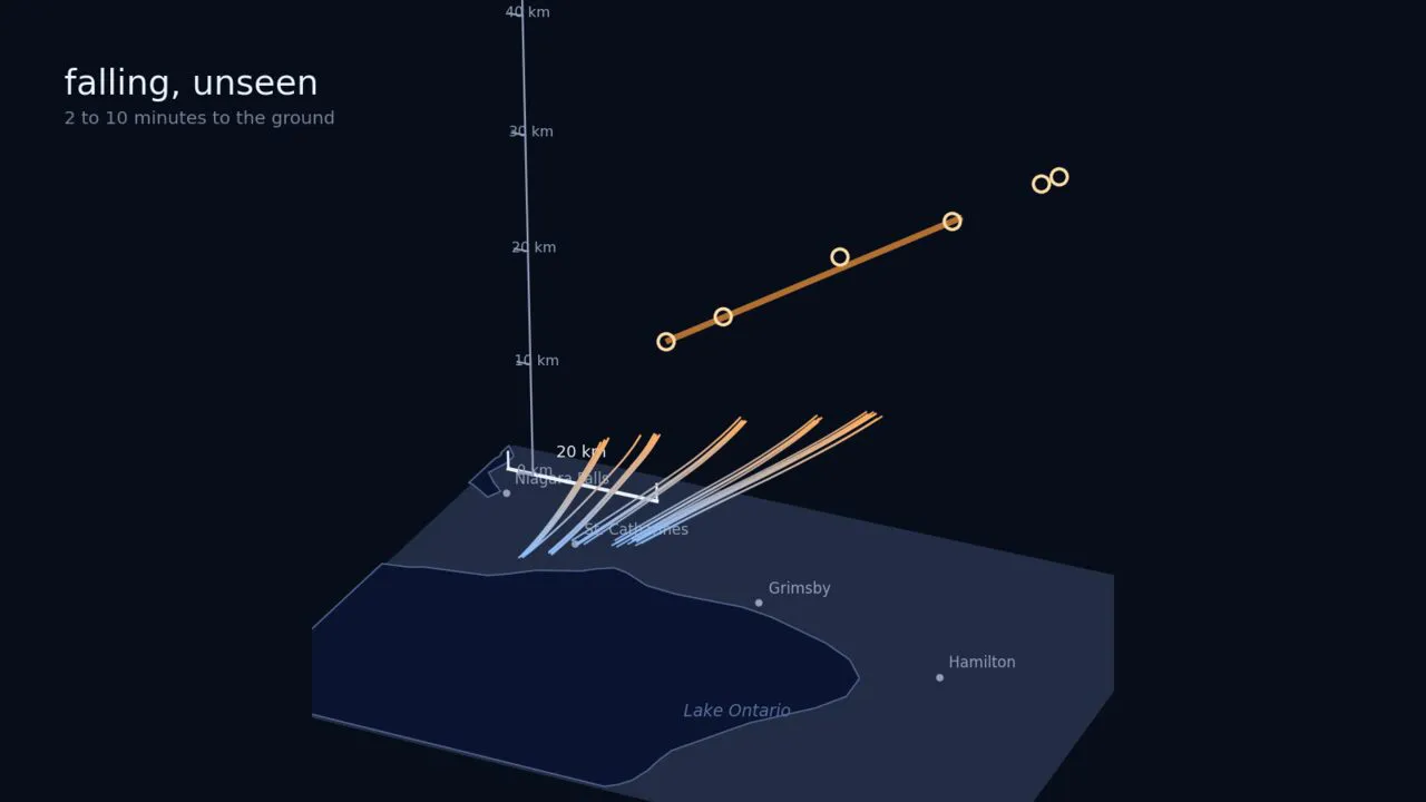Three-dimensional visualization of dark-flight trajectories descending toward the ground